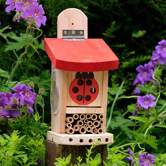 LadyBird Insect Lodge