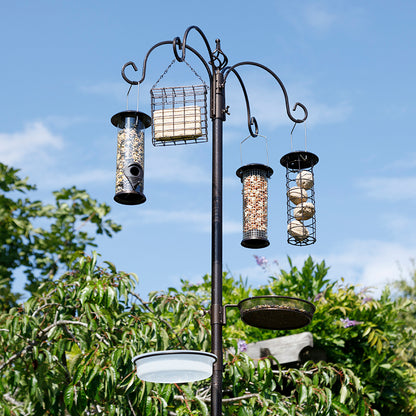 The Jester Bird Feeding Station and Feeder Set