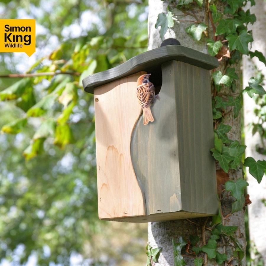 Curve Cavity Nest Box – Gardenature