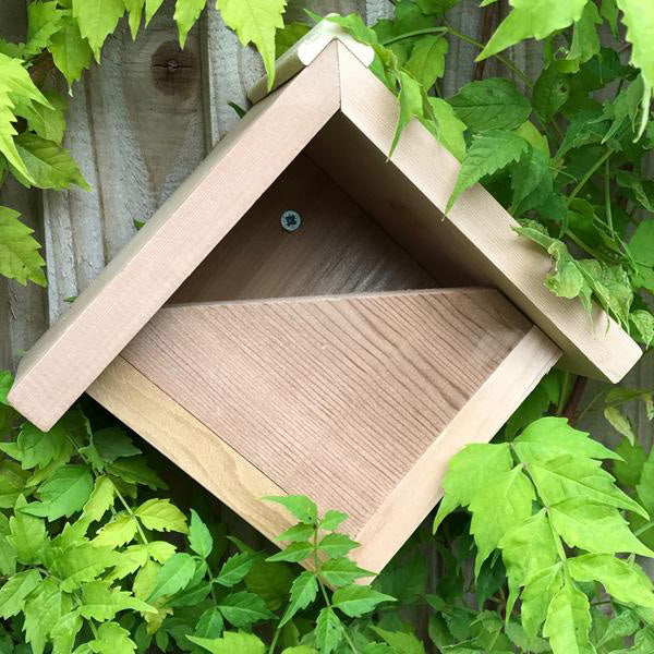 Robin Box The Robin Box – Gardenature