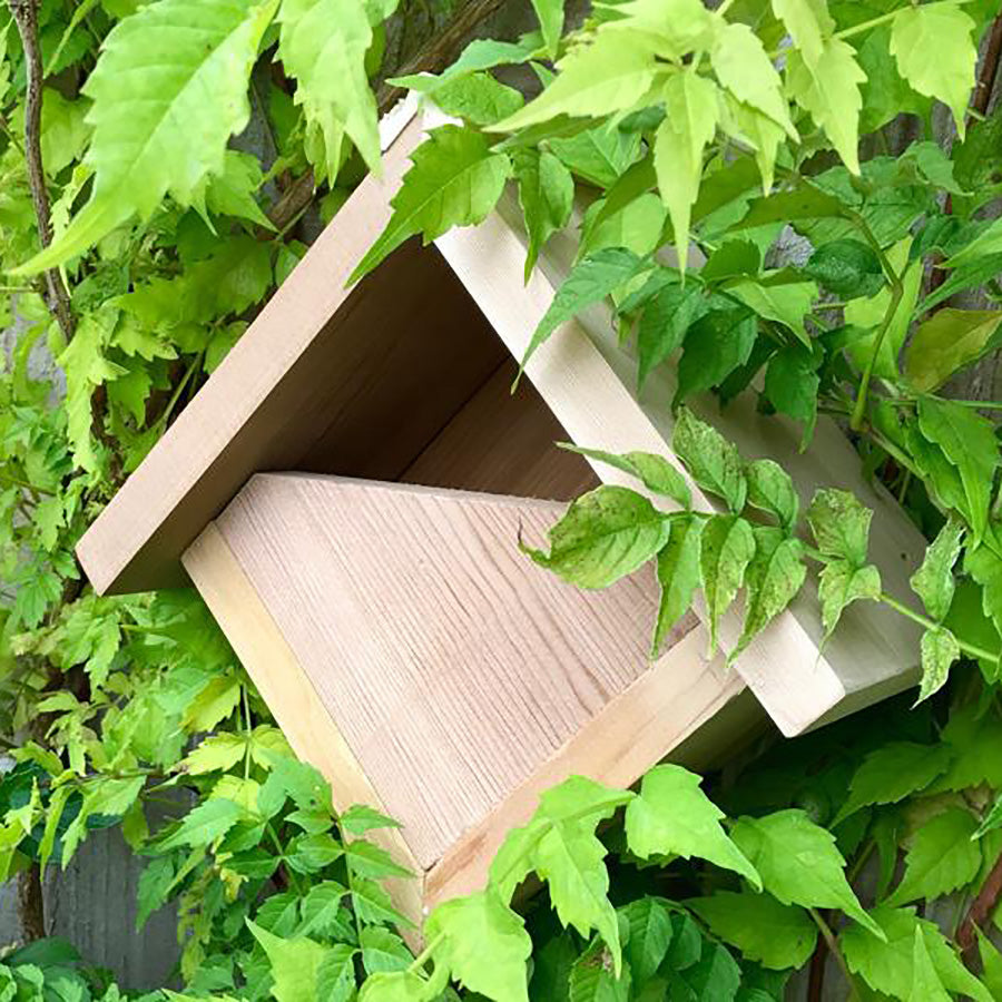 Robin Box The Robin Box – Gardenature