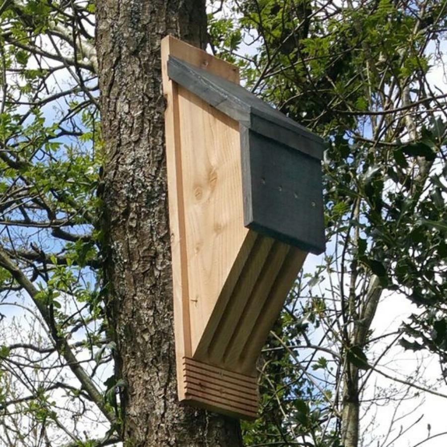 Bat Box Tree Bat Boxes - Bat Habitats | Gardenature