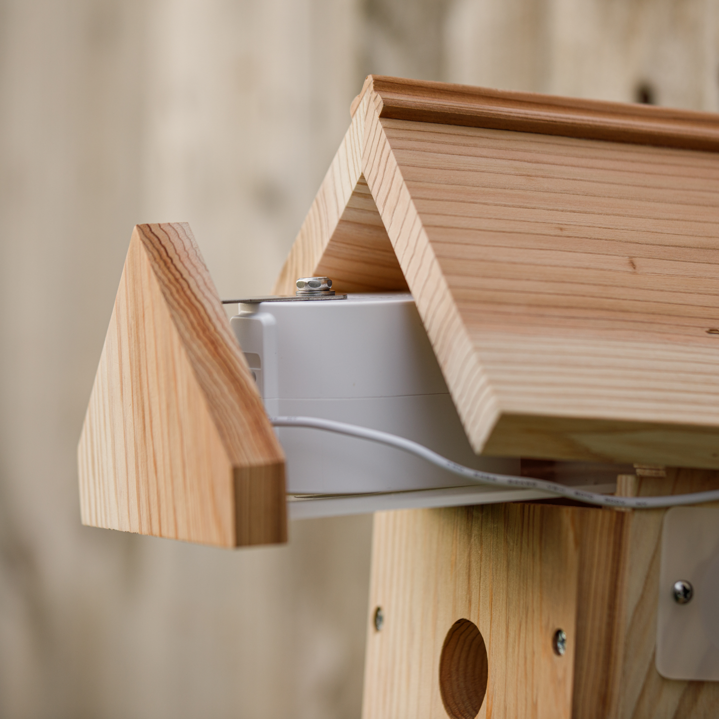 Solar Powered Battery WiFi Bird Box Camera System