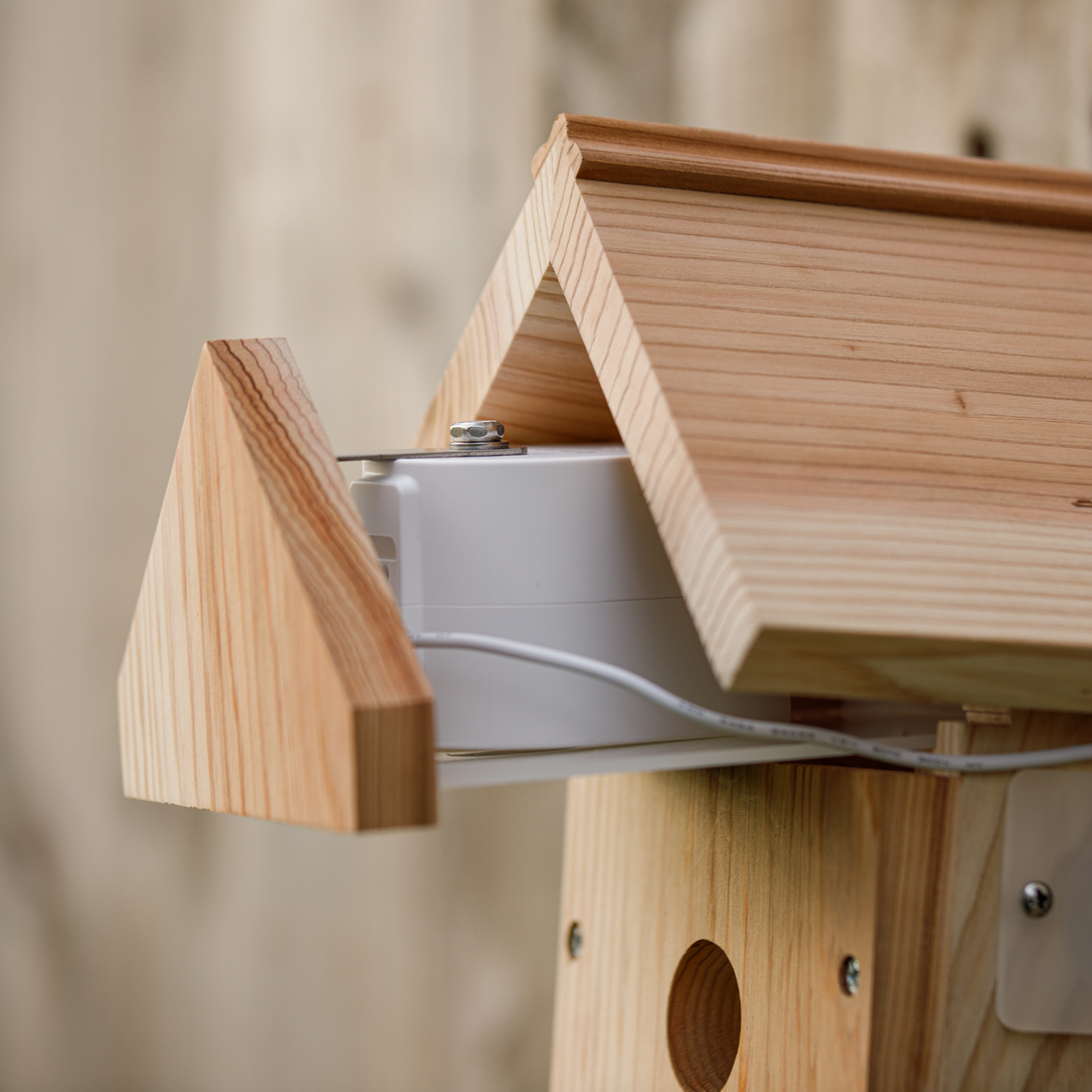 SolarPowered WiFi Bird Box Camera System Gardenature