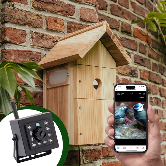 Bird Block Speed Camera WiFi Bird Box camera system – Gardenature