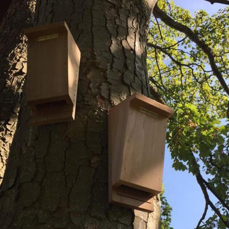 Bat Box - Wooden Triple Pack – Gardenature