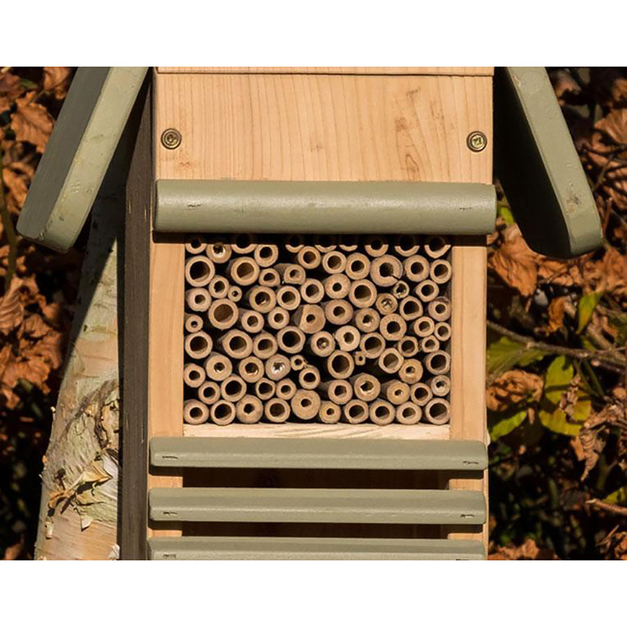 Bird Bee & Bug Hotel