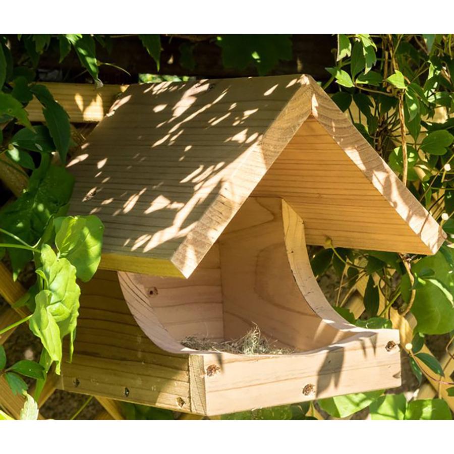 Blackbird Nest Box