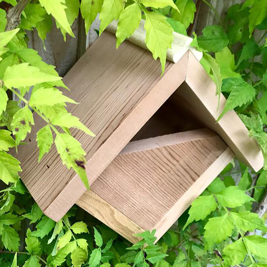 Robin Box Bird Boxes for Small Birds | Gardenature