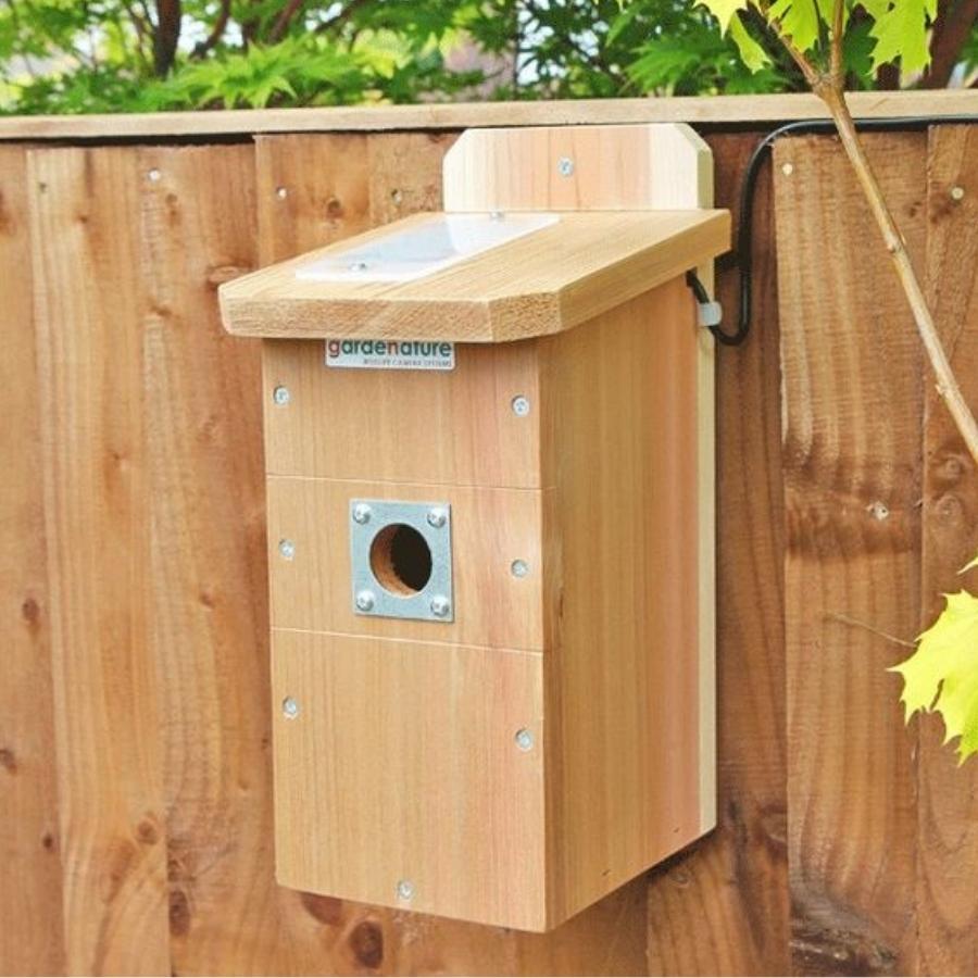 Flat Roof Bird Box