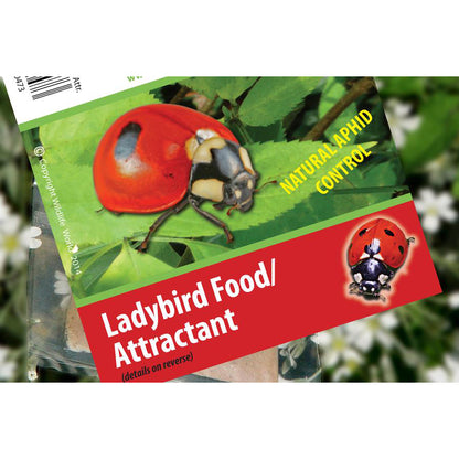 Ladybird Attractant