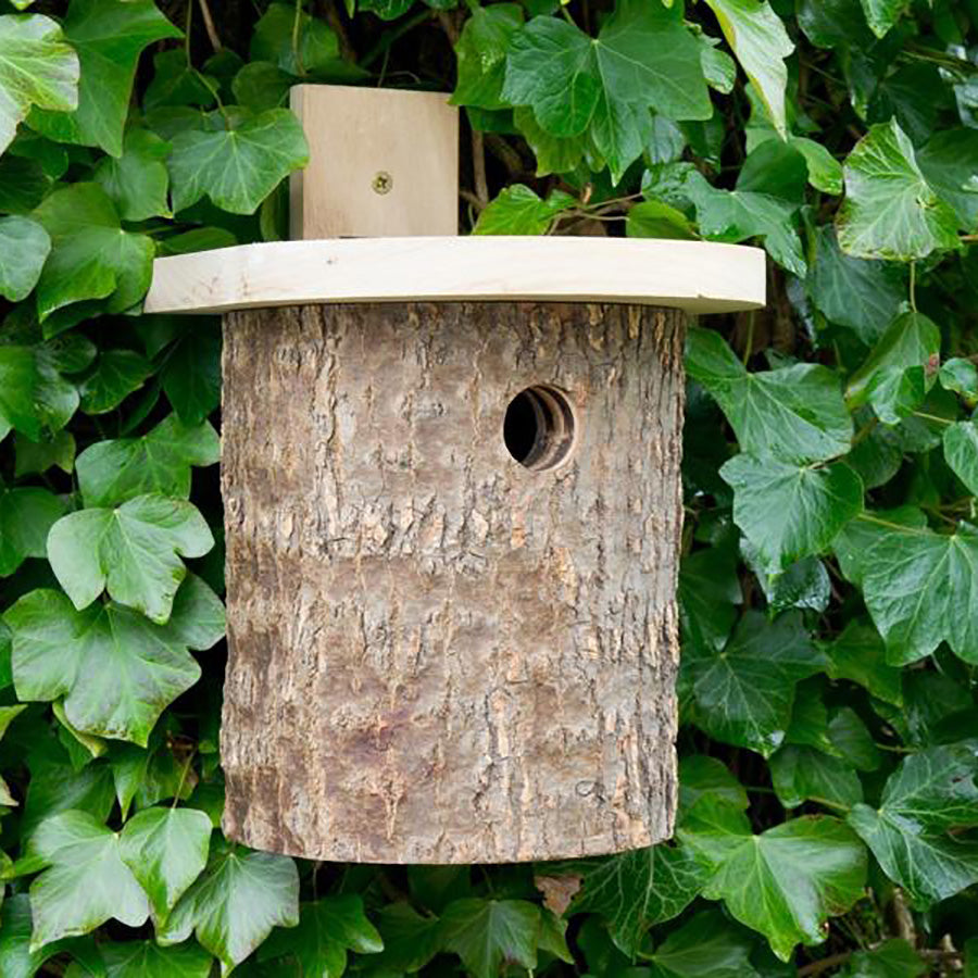 Natural Log Tit Box