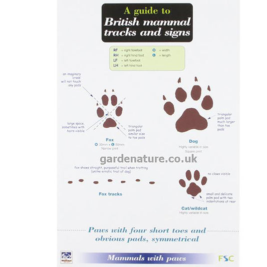 British Mammals Tracks And Signs Field Study Guide