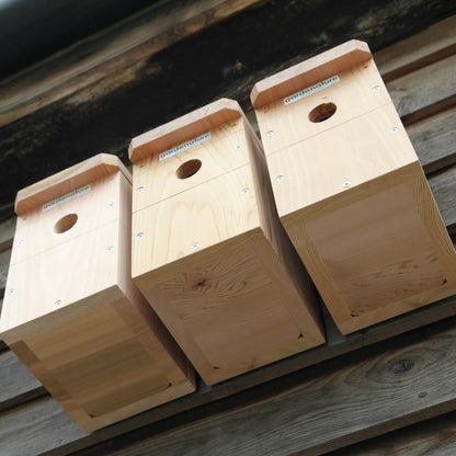 Multi Species Bird Box x3 Pack