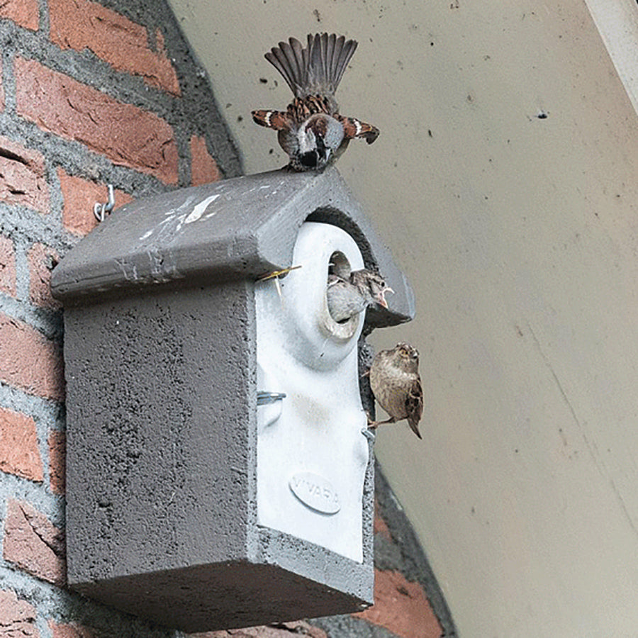 Woodstone Seville Nest Box